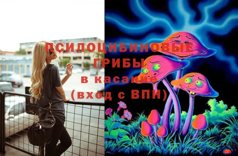 нарко площадка телеграм  Лениногорск  Галлюциногенные грибы Magic Shrooms 